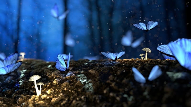 Fairytale Dream